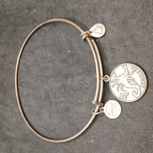 Alex and Ani Scorpio charm bracelet